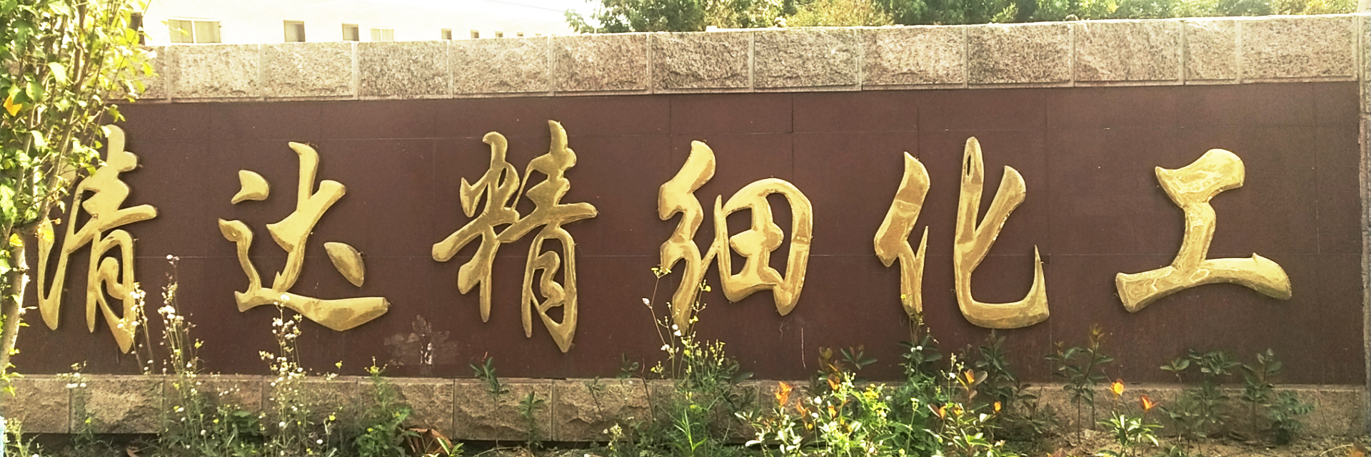 s_2019426112490418